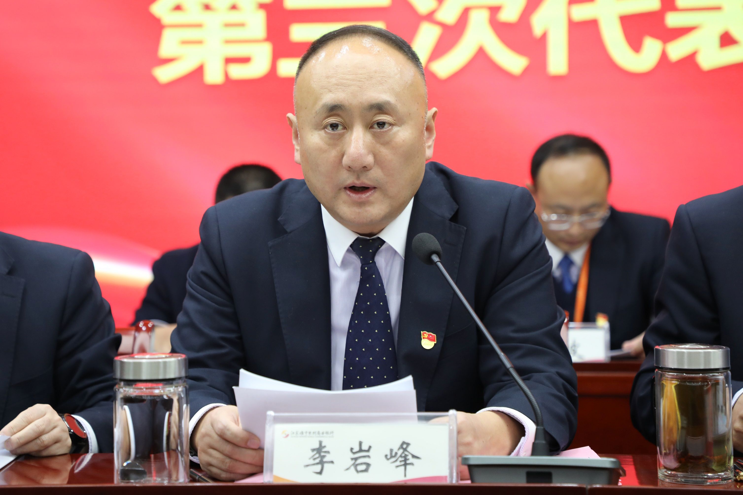 党委书记李岩峰作报告